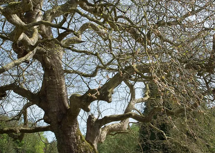 Bed & Breakfast Chateau De Martigny Colmey